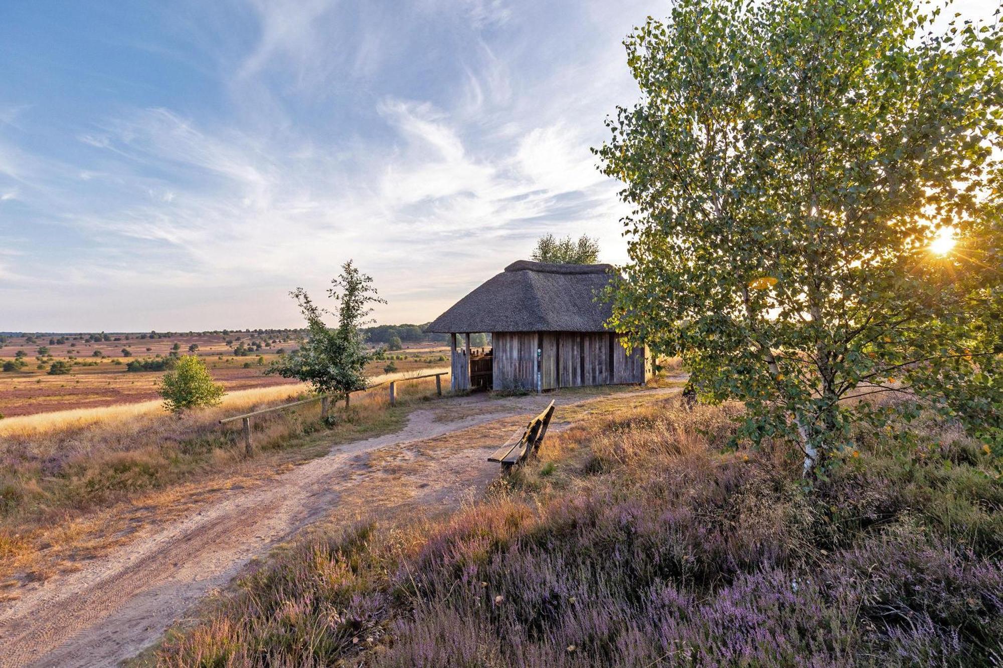 Heidehof Oberhaverbeck Vila Bispingen Exterior foto