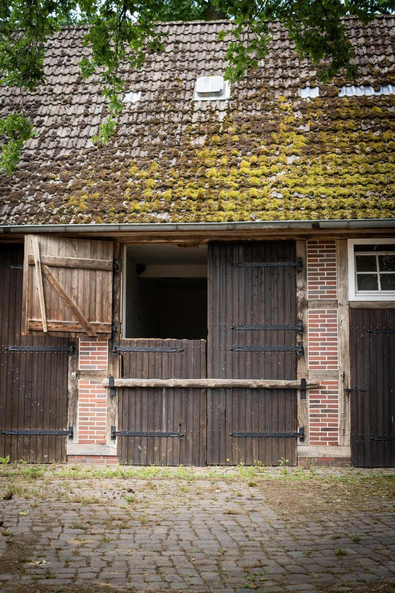 Heidehof Oberhaverbeck Vila Bispingen Exterior foto