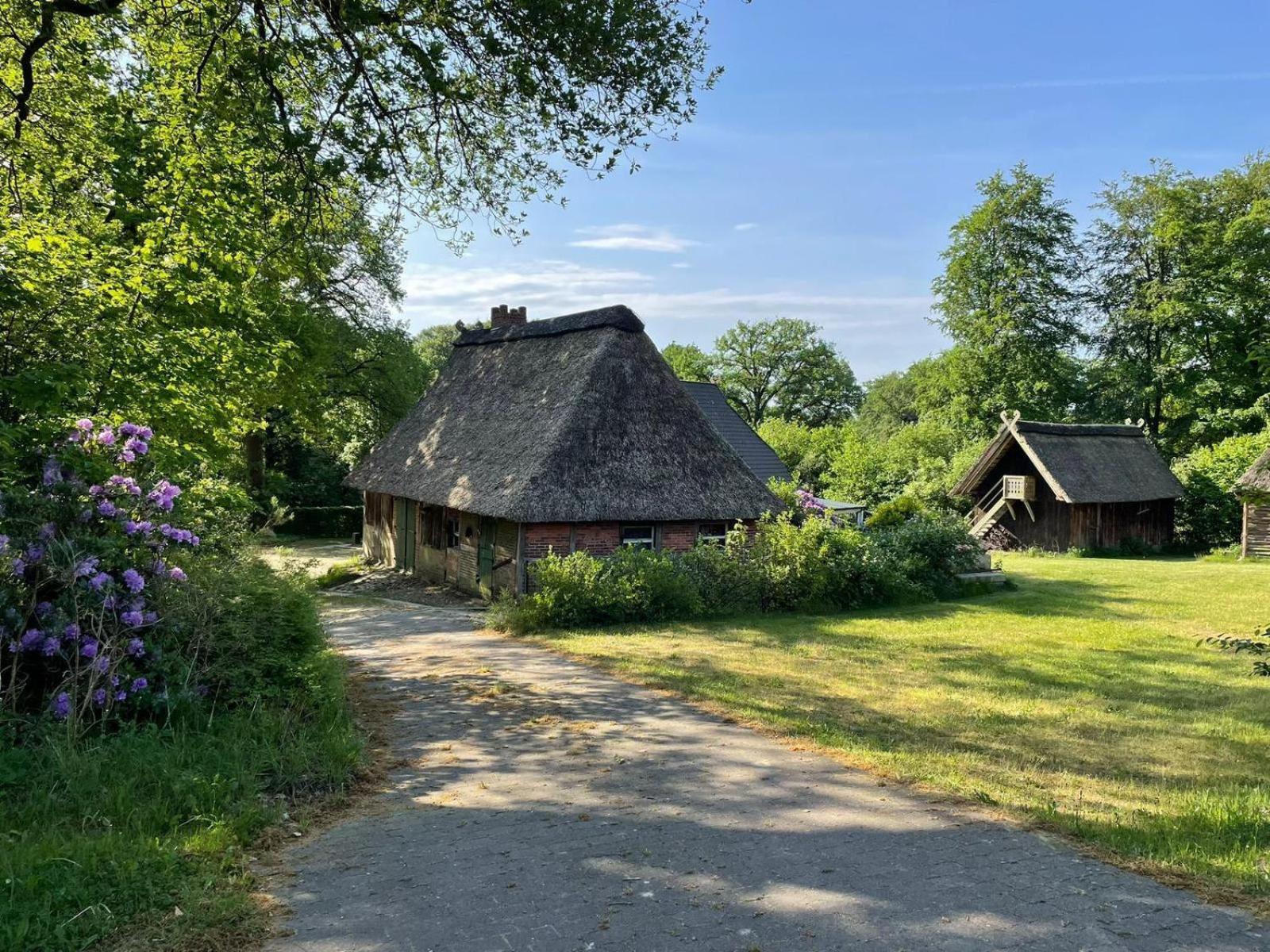 Heidehof Oberhaverbeck Vila Bispingen Exterior foto